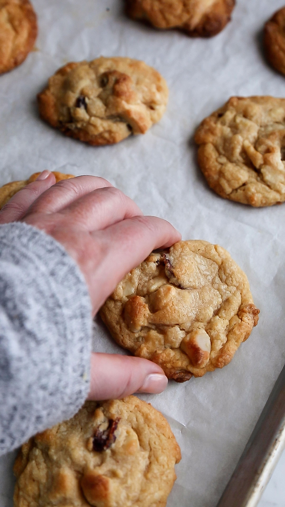 Le meilleur biscuit aux pépites de chocolat blanc, aux canneberges et aux noix de macadamia