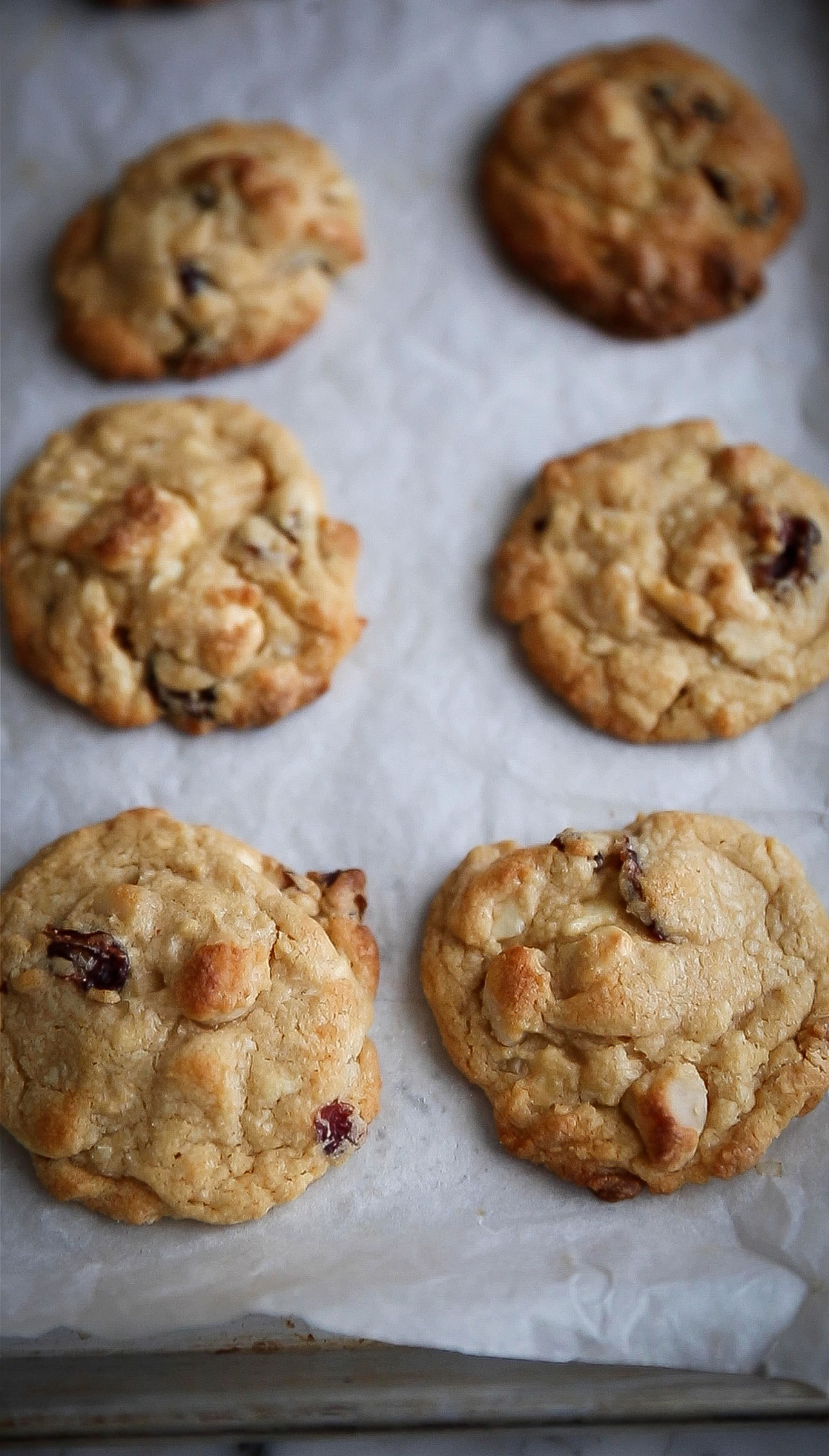 Un plateau de biscuits au chocolat blanc, canneberges et macadamia