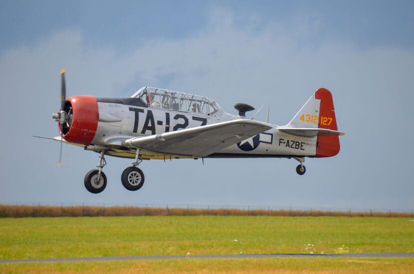 Avions-Cet-American-Legend-Aircraft-AL3-Classic-Cub-2007-est