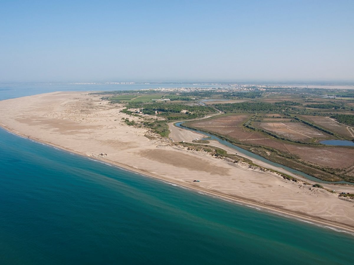 en Camargue, dans le laboratoire de la loi littoral