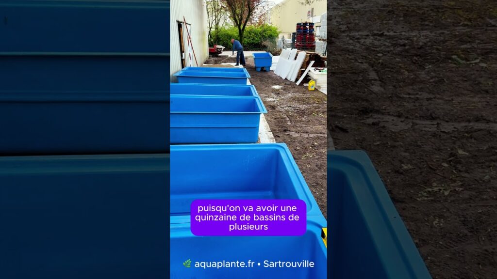 🚧 Épisode 1 — On Construit le Plus Grand Rayon Bassin de la Région | Aquaplante Sartrouville